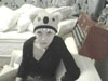 Koala Hat